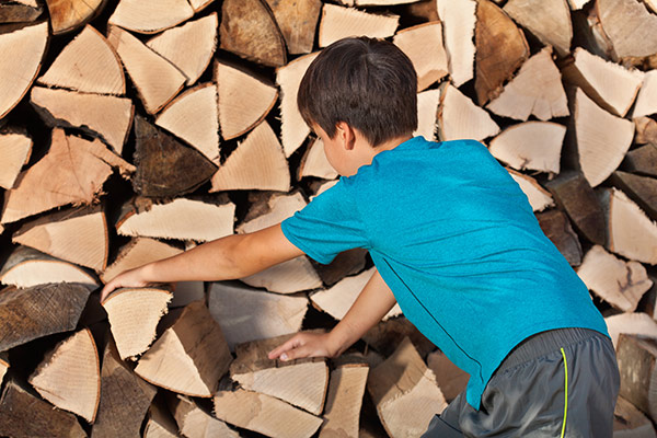 Young boy stacking chopped firewood in a pile for storage.