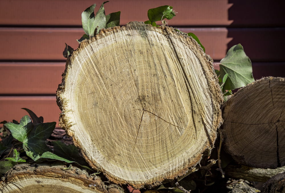 a stack of firewood