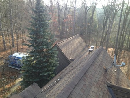 Tree-friendly chimney sweep in Ann Arbor