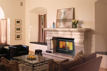 Wood-burning fireplace with a glass door set in a carved stone mantel